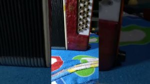 Гармонь. Левая клавиатура с кнопками 10 мм из гильз пат?