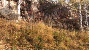 АРАКУЛЬСКИЙ ШИХАН | Идем по туристической тропе | Челя?