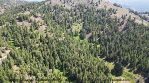 Ты слышал ЭТО под водой - Electric Critters -- Phillip Gross -- Virtual Instruments