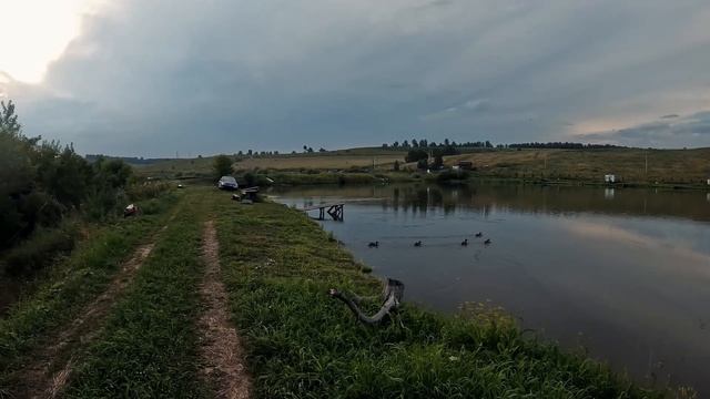 ГДЕ КЛЮЮТ ЗМЕЕГОЛОВ,ЛЯГУШКИ и КАРП. Часть 3. НОВОКУЗНЕ? смотреть онлайн