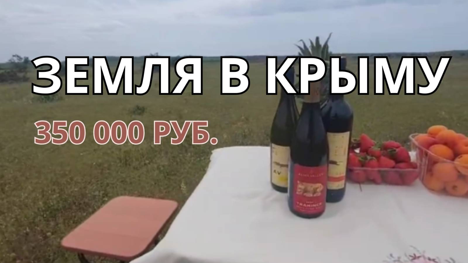 Земля в Крыму за 350 000 руб.