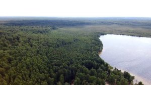 Рубское озеро. Ивановская область. 4К