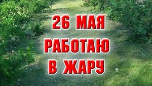 26 мая. Работаю в жару