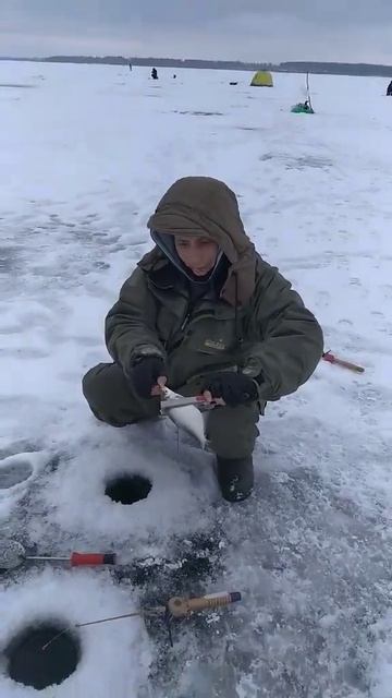 Инструмент для Зимней Рыбалки 2023г смотреть онлайн