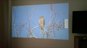 Обзор проектора HONGTOP P30 (HY300 2.0)