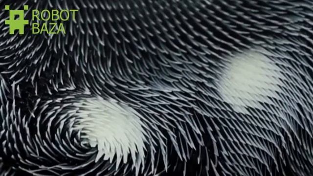 3D накидка реагирует на взгляд смотреть онлайн