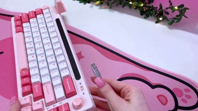 Обзор на EPOMAKER RT65 | DIVOOM DITOO PLUS | Распаковка смотреть онлайн