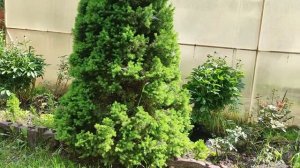 Радостные и волнительные выходные. Как мы отдохнули? Красота требует жертв. Жизнь семьи в деревне.