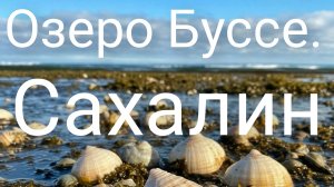 Сахалин#морской деликатес.