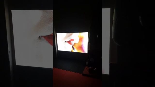 Xgimi H6 / Распоковка и тест проектора для зала / Дом Боево? смотреть онлайн