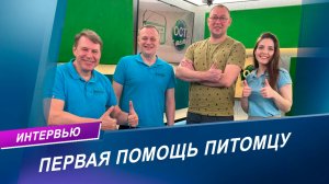 Первая помощь домашним животным: советы ветеринарного врача-хирурга