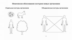 Теория h-пространства - Теория Всего, единая физическая теория (часть 8).
