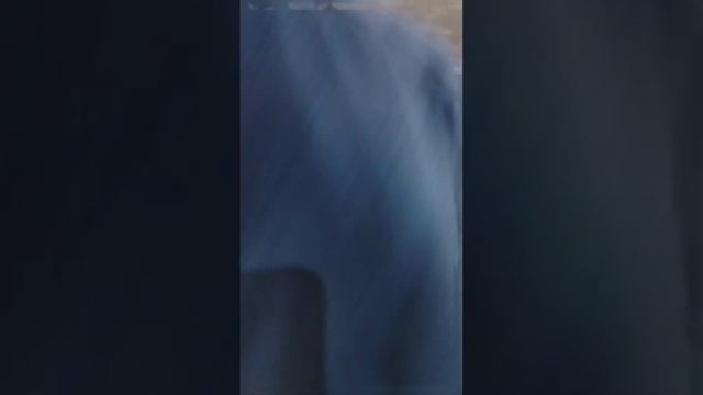 1000084364.mp4