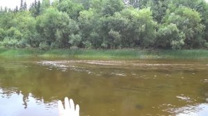 Путешествие на Ямозеро Ч4. Одиночный поход по рекам Вы?