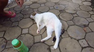 Самуи 2024, один день из жизни на острове Самуи, Тайланд,