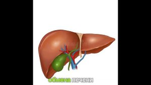 Выведение желчи без ТАБЛЕТОК.Как вывести застой желчи