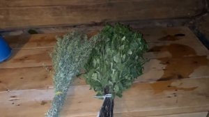 Польза полыни горькой в бане