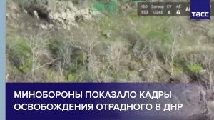 Минобороны показало кадры освобождения Отрадного в ДНР