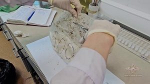 Ирина Волк: Полицейские задержали подозреваемого в покушении на сбыт наркотиков