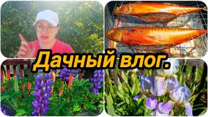 ВЫСАДИЛИ ВСЕ, ЧТО ТОЛЬКО МОЖНО 😀 КОПТИМ ВКУСНУЮ РЫБКУ 😋