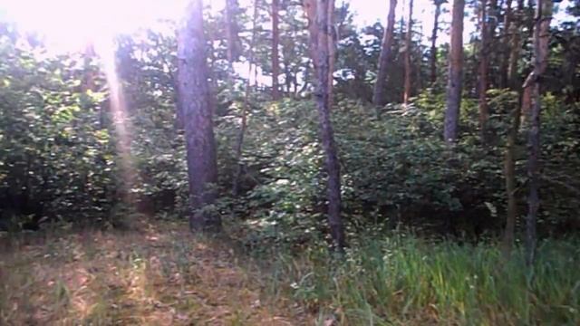 САМВЕЛ АДАМЯН В КИЕВЕ. СТРАННАЯ ОТКРЫТКА ОТ НАДИ #Самв?