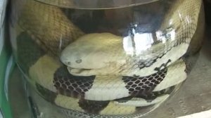 Vietnam, Sa Pa, Souvenirs - Вьетнам, Са Па. Сувениры