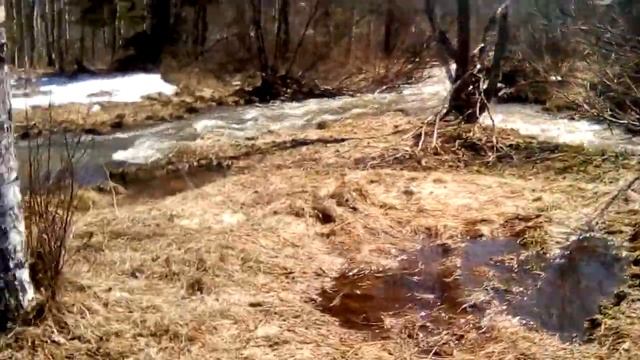 жаркие летние дни смотреть онлайн