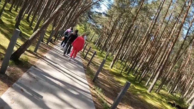 Калининград - день 4👻 смотреть онлайн