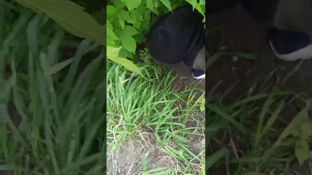 Все наши тайники