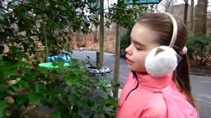 🐯🦚🐻 Зоопарк Бронкса в Нью-Йорке 🦅  ❄️зимой ❄️ Ча?