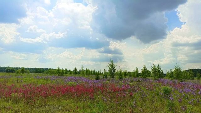 SJCAM C200 тест во время движения смотреть онлайн