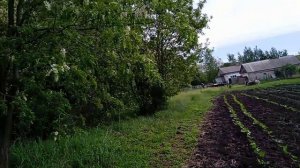Всём хорошего дня и хорошей плодотворной недели ❤