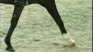 Ксения Морозкина на Леди Люкс.