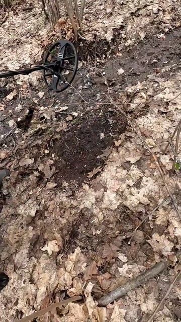 Открытие сезона 2024. Сравниваем металлоискатели. Нокта смотреть онлайн