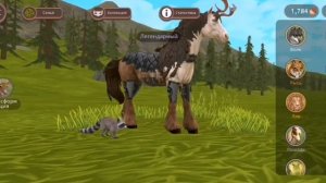 обмен акка в вайлде (НЕ ПЕРВАЯ МНГЛД АККИ НЕ ПРИНИМАЮ н