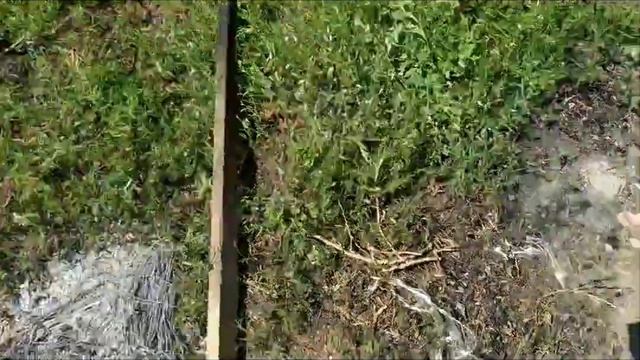 Плавлю металл свинец и цам. смотреть онлайн