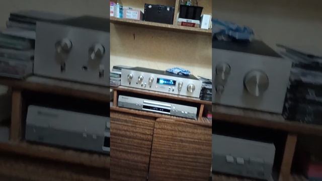 Custom Acoustic "Sky Tower" #hi-fi акустика своими руками #колонки woodw смотреть онлайн