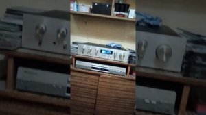 Custom Acoustic "Sky Tower" #hi-fi акустика своими руками #колонки woodw