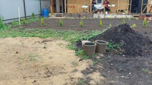 Наши 8,4 сотки🏡.Участок преображается ❗Высадили туи+колеусы.
