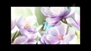 Оформление анонсов на 8 марта (ОРТ/Первый канал, 2002-2016)