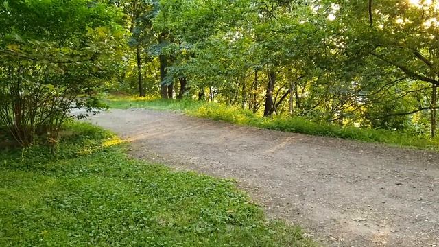 Новый день / Лена и Ваня LIFE / О чём думают зрители, когда смотрят видео Оксаны?! / Обзор влогов смотреть онлайн