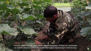 Фермеры "Ешь Деревенское". Выпуск 55. Игорь Жваков.