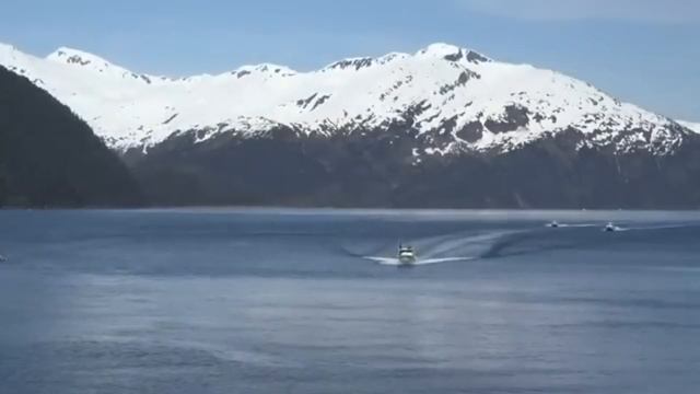 Это фото шокировало весь интернет! Только посмотрите, смотреть онлайн