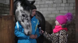 конная прогулка в конно-спортивном комплексе Эквитерра