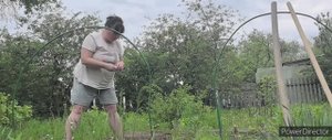 Дачные хлопоты магаданцев. Ах,огурчики, помидорчики!