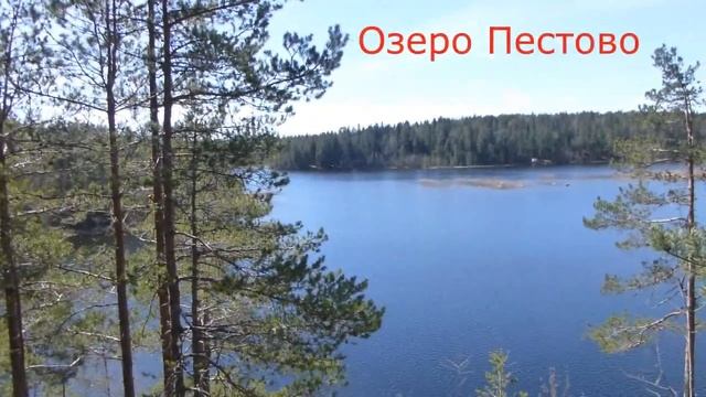 Life-ВЛОГ от мужа: прогулка по тропе Хо Ши Мина Ленингра?