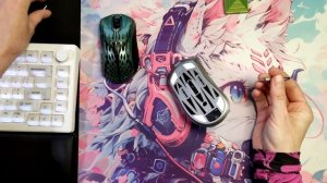 Pwnage Stormbreaker Max CF - новая лучшая эрго мышь. Наверное.