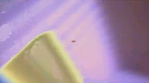 My Talking Tom Friends (NEW GAME) in G Major 4 Сubed