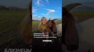 Близнецы Гороскоп