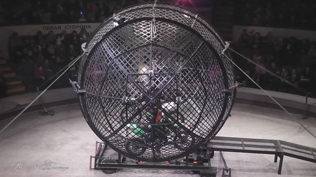 Мотоциклы в шаре смотреть онлайн